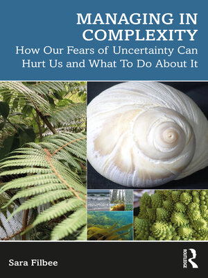cover image of Managing in Complexity